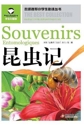 名师推荐小学生必读丛书