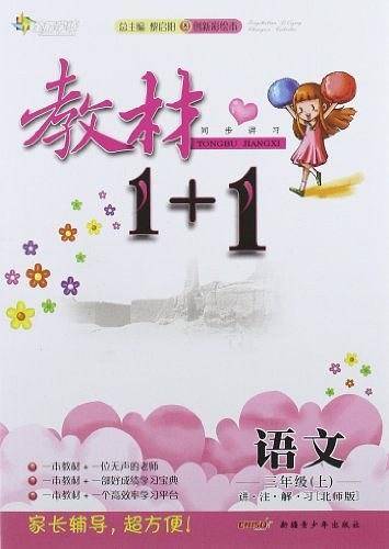全能学练・教材1+1同步讲习（上）