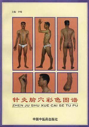 针灸腧穴彩色图谱