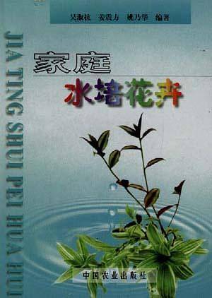 家庭水培花卉