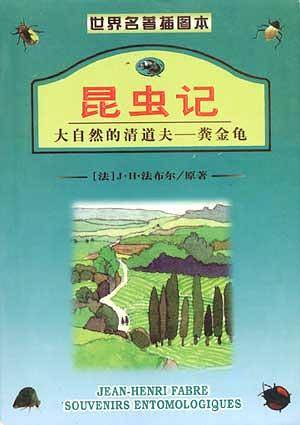 冬装冬大衣/新款服装直通车