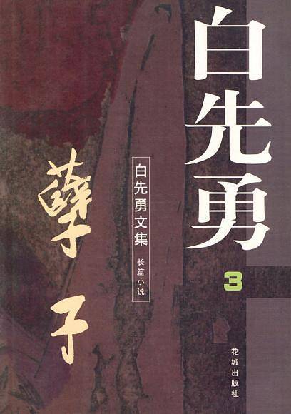 白先勇文集3---孽子