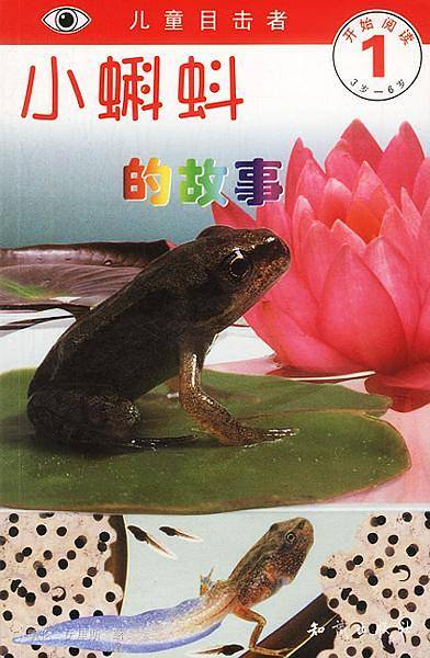 儿童目击者：小蝌蚪的故事