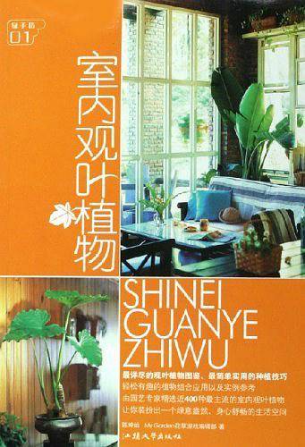 室内观叶植物