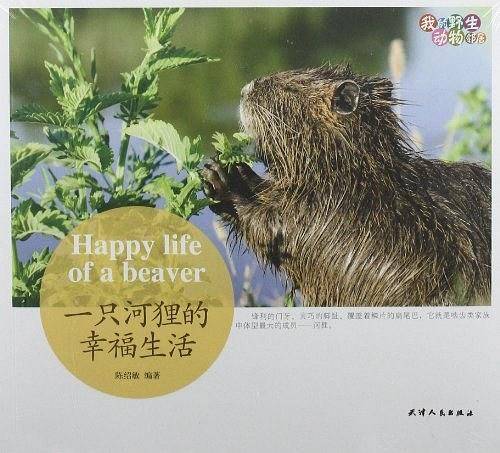 我的野生动物邻居 ：一只河狸的幸福生活
