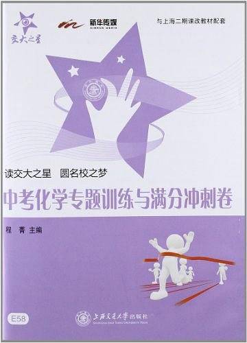 中考化学专题训练与满分冲刺卷