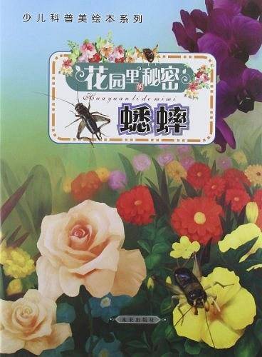 蟋蟀-花园里的秘密