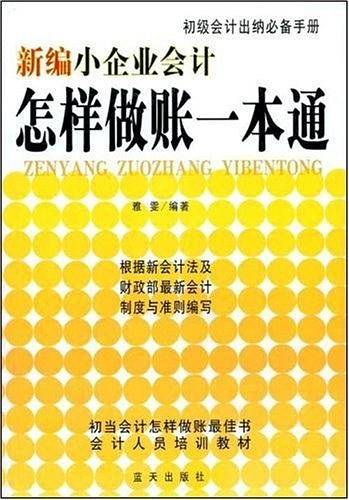 新编小企业会计怎样做帐一本通
