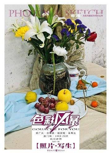 敲门砖色彩风暴--色彩静物 照片写生