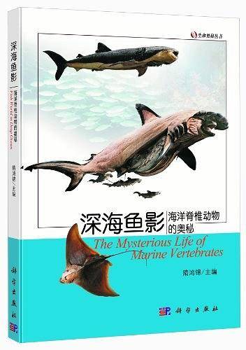 深海鱼影海洋脊椎动物的奥秘