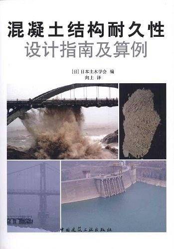 混凝土结构耐久性设计指南及算例