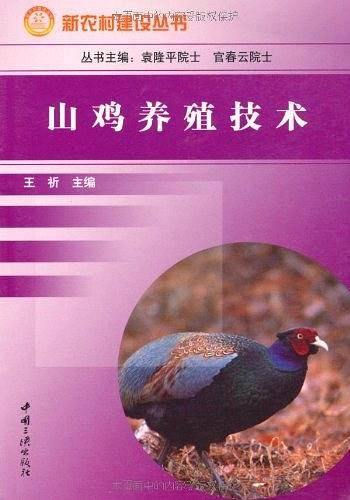 山鸡养殖技术