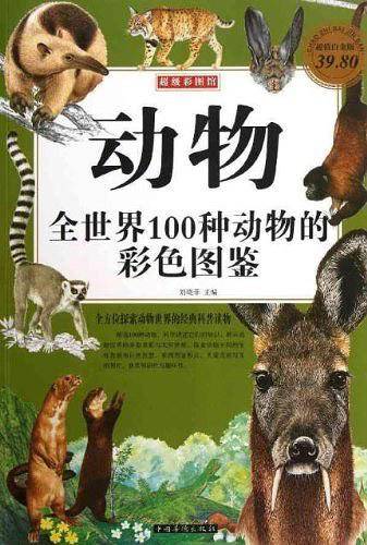 动物