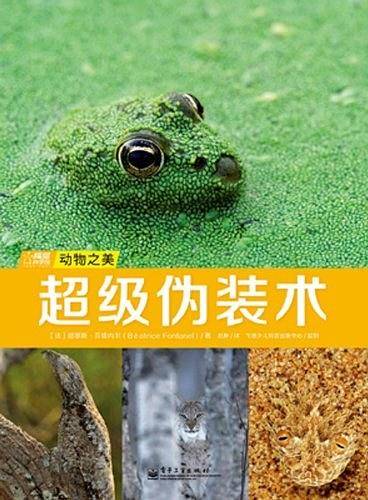 动物之美