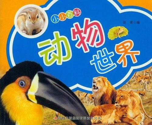 动物世界