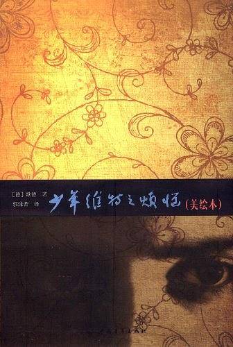少年维特之烦恼