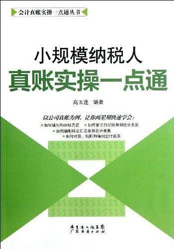 小规模纳税人真账实操一点通