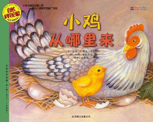 小鸡从哪里来