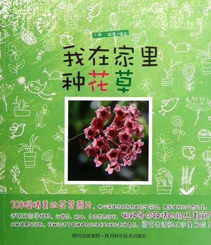 我在家里种花草