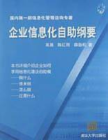 企业信息化自助纲要