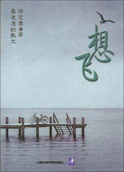 想飞