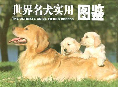 世界名犬实用图鉴