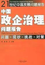 中国政企治理问题报告