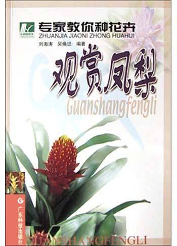 观赏凤梨