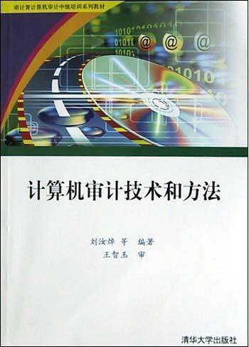 计算机审计技术和方法