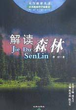 解读森林