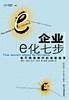 企业e化七步