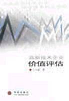 高新技术企业价值评估