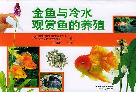 金鱼与冷水观赏鱼的养殖