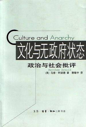 文化与无政府状态：政治与社会批评
