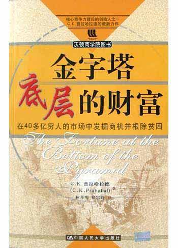 金字塔底层的财富