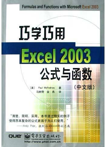 巧学巧用Excel 2003公式与函数（中文版）