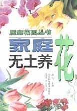 家庭无土养花