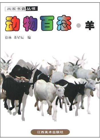 动物百态・羊