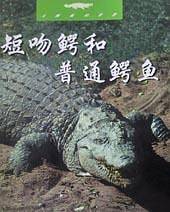 短吻鳄和普通鳄鱼(未驯服的世界)