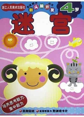 迷宫——新头脑开发丛书