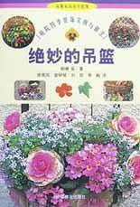 绝妙的吊篮