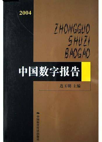 2004中国数字报告