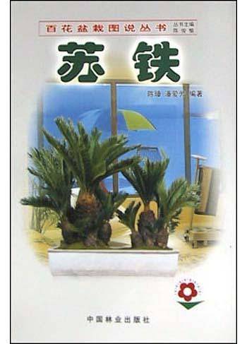 苏铁