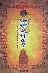 法律是什么(二十世纪英美法理学批判阅读)