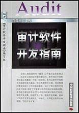 审计软件开发指南