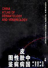 中国皮肤病性病图鉴