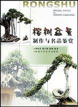 榕树盆景制作与名品鉴赏