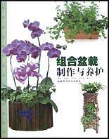 组合盆栽制作与养护