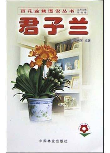 君子兰——百花盆栽图说丛书