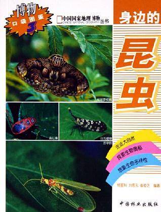 身边的昆虫